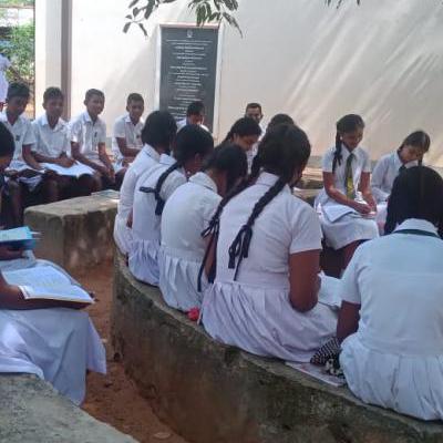 What17.23.50 Y Thumb