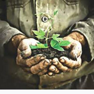 ජීව කොටු ව්‍යාපෘතිය 