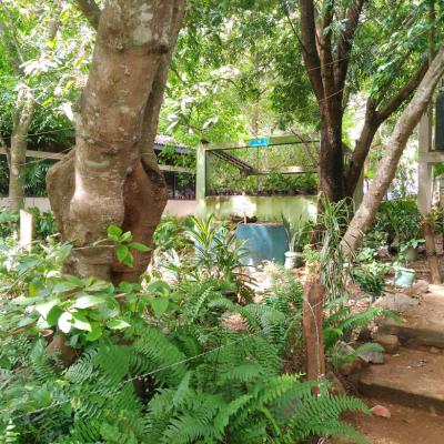 Whatsapp Image 2025 02 27 At 12.25.49 86891a93