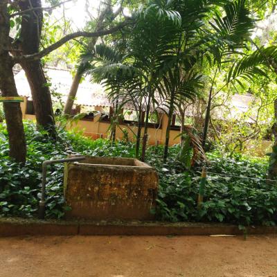 Whatsapp Image 2025 02 27 At 12.25.50 38989a1d