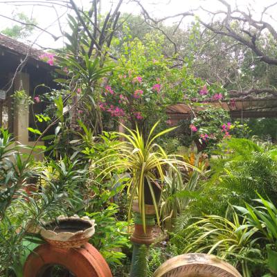 Whatsapp Image 2025 03 03 At 09.36.46 7d47f4e7