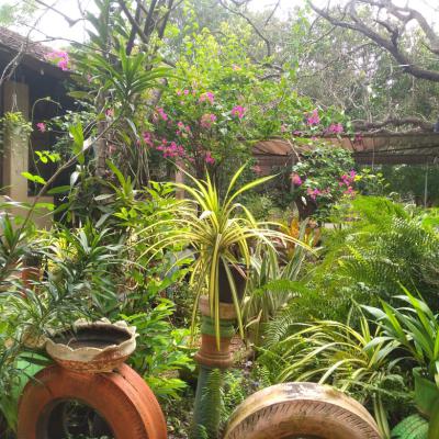 Whatsapp Image 2025 03 03 At 09.36.54 0fcb395f