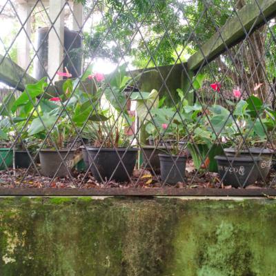 Whatsapp Image 2025 03 03 At 09.36.54 C6bd703c