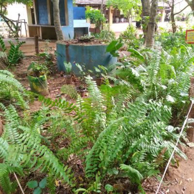 Whatsapp Image 2025 03 03 At 09.36.57 493cf6c4