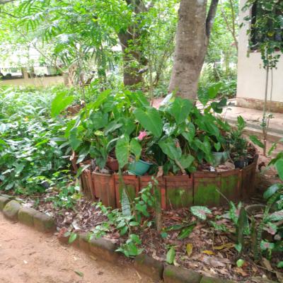 Whatsapp Image 2025 03 03 At 09.36.57 5542a7ff