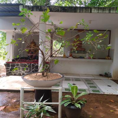 Whatsapp Image 2025 02 27 At 12.26.45 32853af6