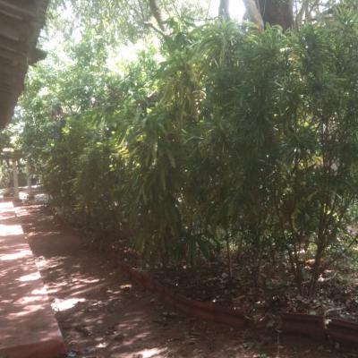 Whatsapp Image 2025 02 27 At 13.41.17 Cfb6b393