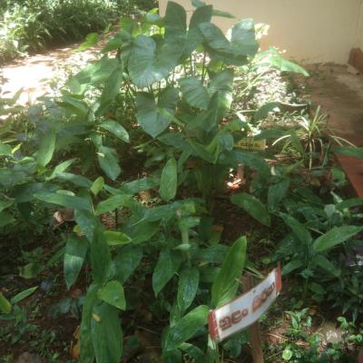 Whatsapp Image 2025 02 27 At 13.41.19 805e7e89