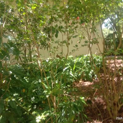 Whatsapp Image 2025 02 28 At 09.14.02 33d05fd2