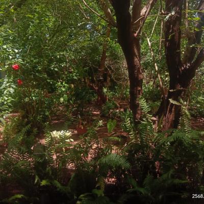 Whatsapp Image 2025 02 28 At 09.14.02 5dd0fa10