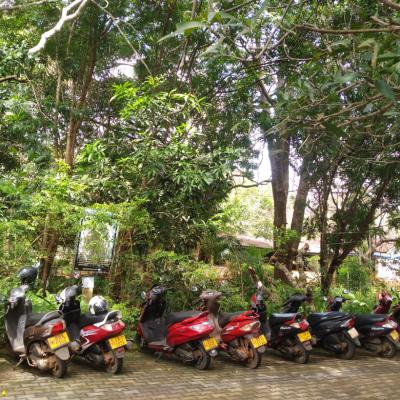 Whatsapp Image 2025 02 28 At 11.34.37 472d110e