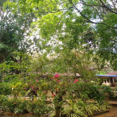 Whatsapp Image 2025 02 28 At 11.34.39 4205b8db