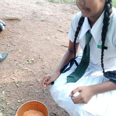 Whatsapp Image 2023 02 28 At 10.08.19 Am Thumb